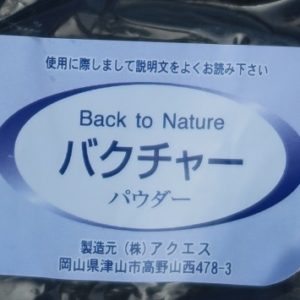 きっかけバクチャー