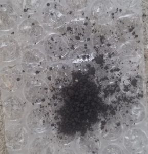 バクチャー栽培トマト～定植～