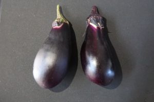 テッカテカナス🍆