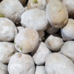 夏じゃがを植えてみよう！