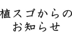 植スゴ今後について