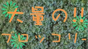 ブロッコリー祭り