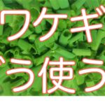 わけぎ~WAKEGI~