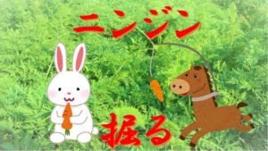 やっぱり美味い！ニンジン！