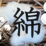 綿ワタコットン