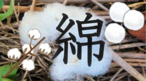 綿ワタコットン