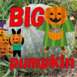 BIGなpumpkin