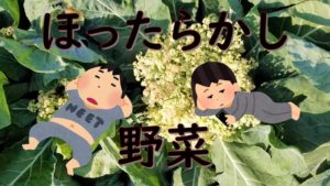 獲り遅れた野菜図鑑～2020秋～