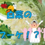 巻かない白菜!?山東菜!