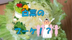 巻かない白菜!?山東菜!
