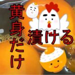 お手軽ごはんがススム!黄身の醤油漬け