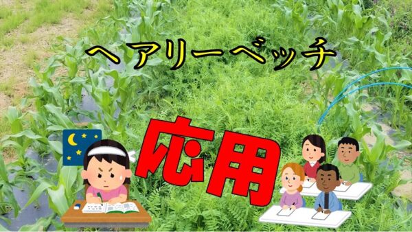 有機栽培の味方！リビングマルチ！！（応用編）