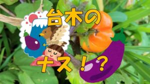 トルバムビガー