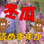 いつ収穫なの??
