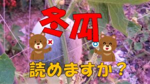 いつ収穫なの??