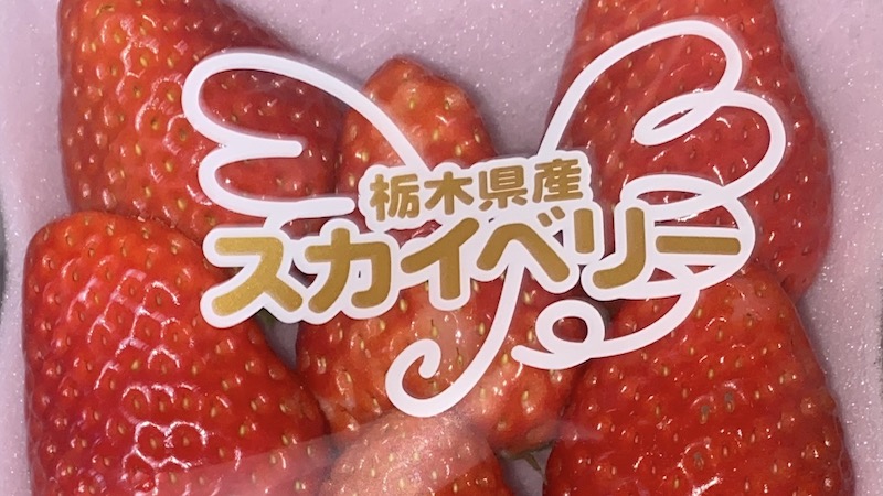 大きくきれいなおいしいイチゴ〜スカイベリ〜